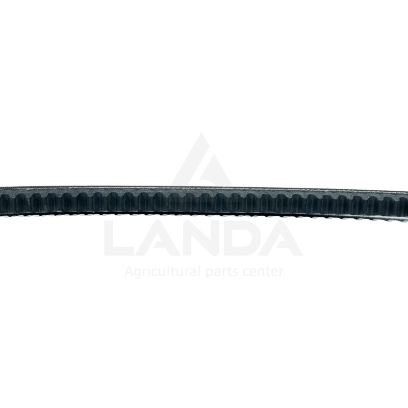 COURROIE TRAPEZOIDALE CRANTEE