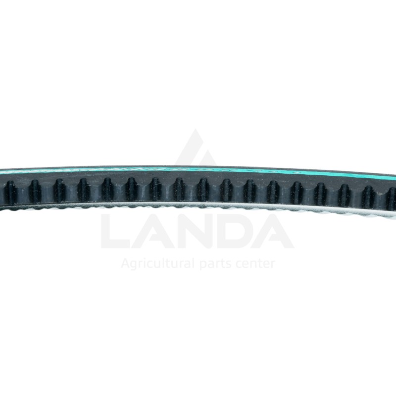 COURROIE TRAPEZOIDALE CRANTEE