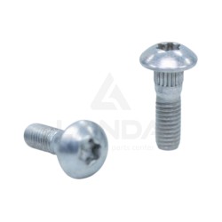 VIS TETE BOMBEE CREUSE TORX (M6x20)