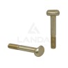 PICK-UP TINE FIXATION SCREW