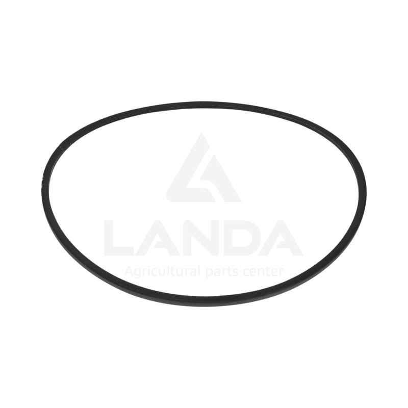 CORREA TRAPEZOIDAL LISA
