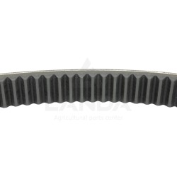 CORREA TRAPEZOIDAL DENTADA