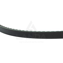 CORREA TRAPEZOIDAL DENTADA