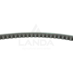 CORREA TRAPEZOIDAL DENTADA