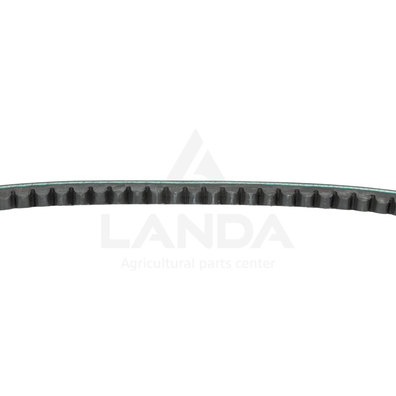 CORREA TRAPEZOIDAL DENTADA