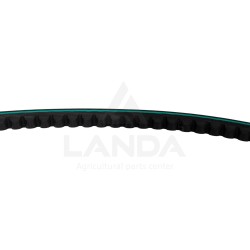 CORREA TRAPEZOIDAL DENTADA