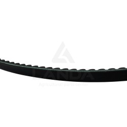 CORREA TRAPEZOIDAL DENTADA