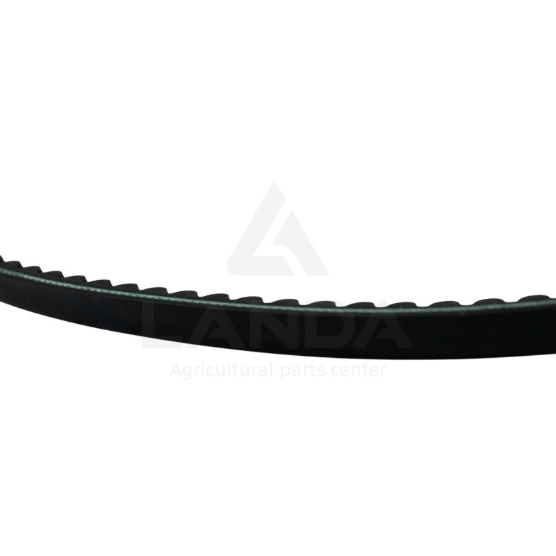 CORREA TRAPEZOIDAL DENTADA