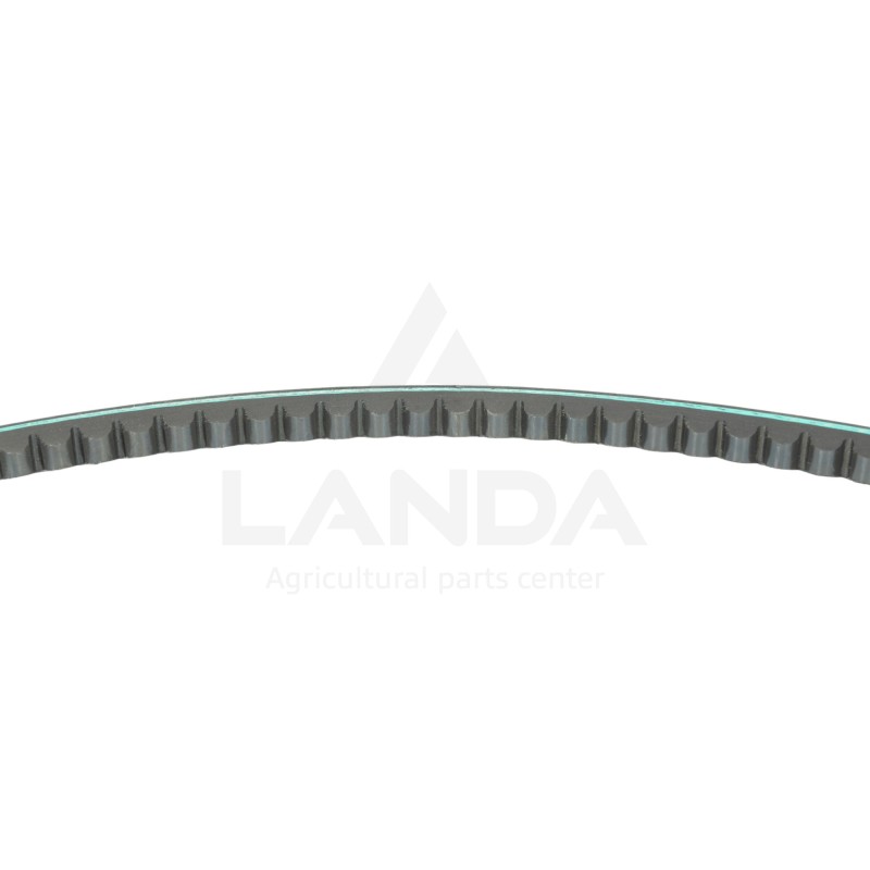 CORREA TRAPEZOIDAL DENTADA