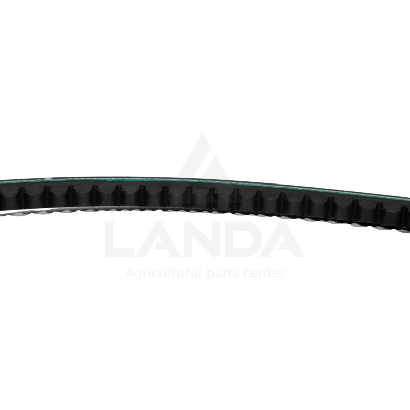 CORREA TRAPEZOIDAL DENTADA