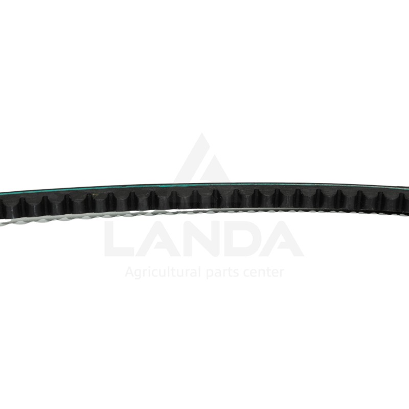 CORREA TRAPEZOIDAL DENTADA