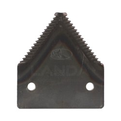 SECTION GROSSE DENTURE - FAUCILLEE DESSUS