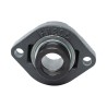 OVAL HOUSING BEARING UNIT (2 HOLES)