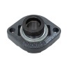 OVAL HOUSING BEARING UNIT (2 HOLES)