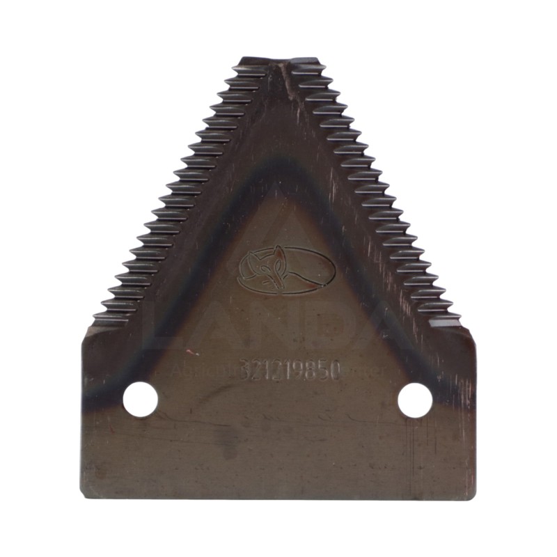 SECTION GROSSE DENTURE - FAUCILLEE DESSUS