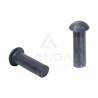 PAQUET DE 100 RIVETS TETE RONDE (5,25x16)
