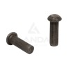 ASSORTIMENT RIVETS TETES RONDES (5,25x16 - 5,25x24 - 5,25x32)