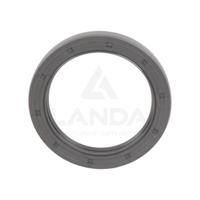 JUNTA SPI DOBLE LABIO (60x80x10)