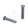 100 RIVETS 5,25X25