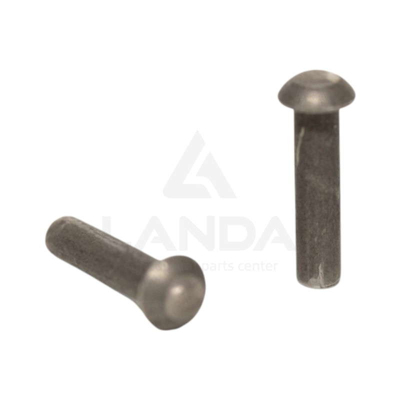 PAQUET DE 100 RIVETS TETE RONDE (6x25)