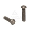 PAQUET DE 100 RIVETS TETE RONDE (6x25)