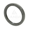 DOUBLE LIP SEAL