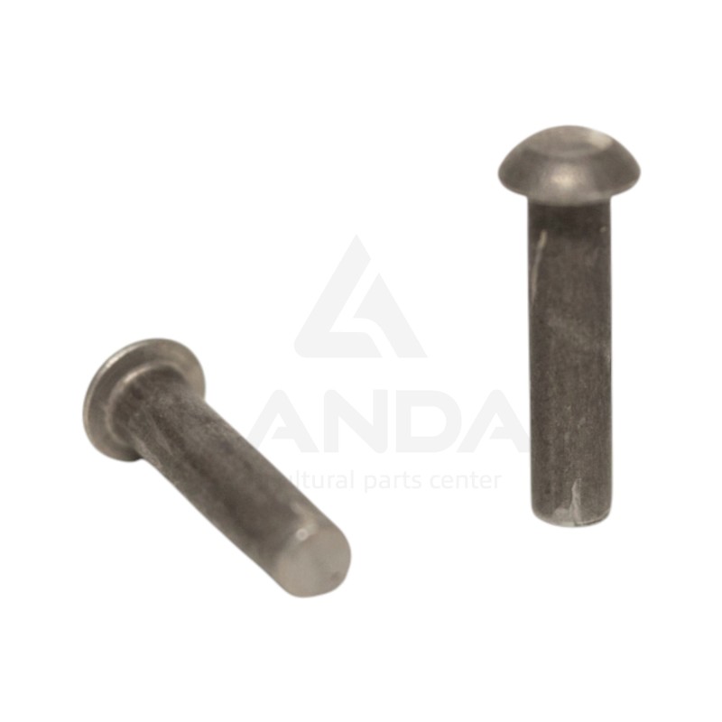 PAQUET DE 100 RIVETS TETE RONDE (6x25)