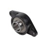PALIER APPLIQUE OVALE (2 FIXATIONS) UCFL208