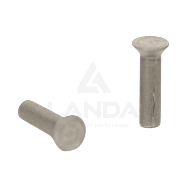 100 RIVETS 6,3X25