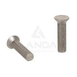 100 RIVETS 6,3X25