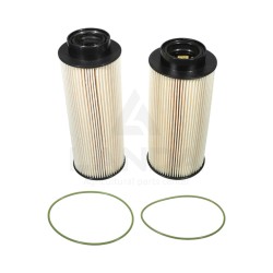 KIT FILTRO GASOIL (2 Cartuchos)