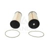 KIT FILTRO GASOIL (2 Cartuchos)