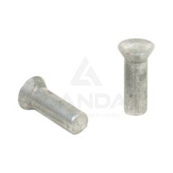 100 RIVETS 5,4X16