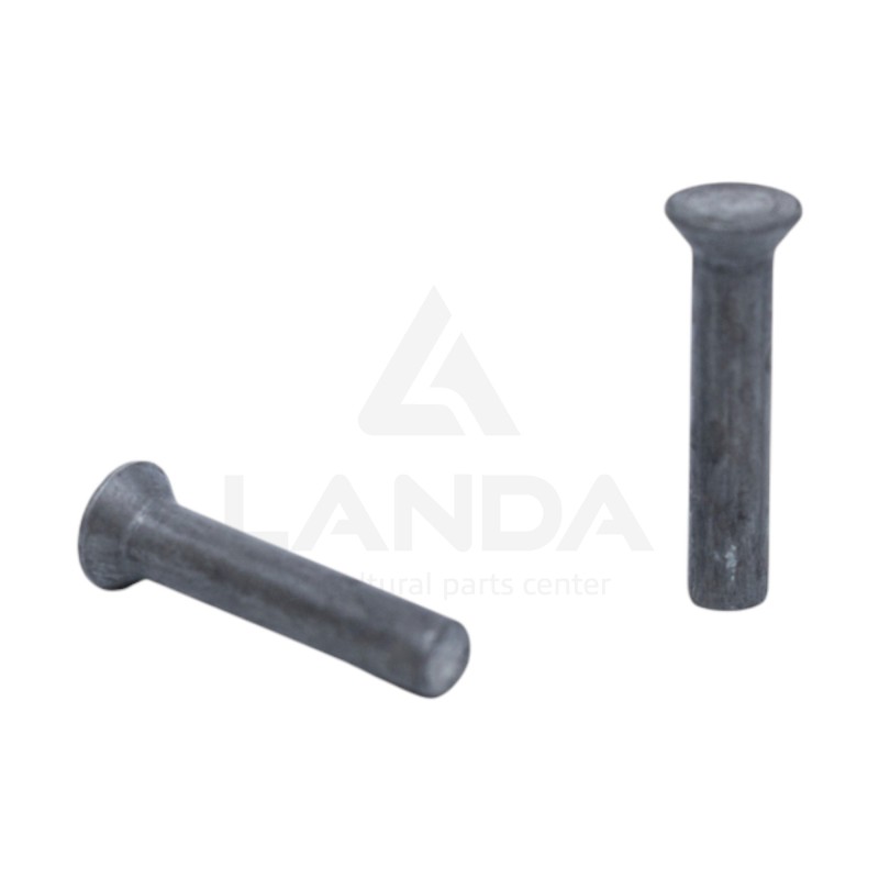100 RIVETS 6X30