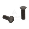 PAQUET DE 100 RIVETS TETE FRAISEE (6x18)