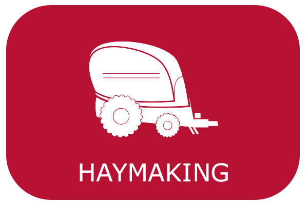 haymaking category