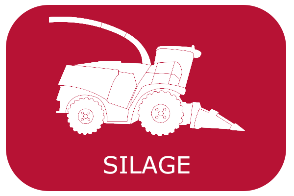 silage category