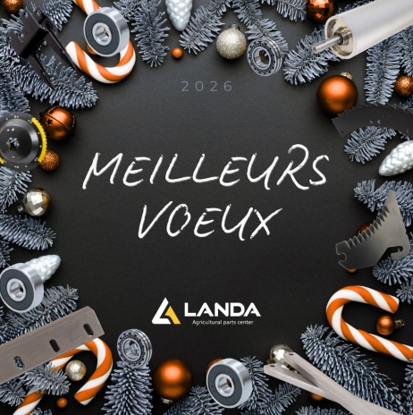 Best wishes for 2026